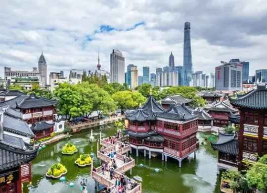 都市情感疗愈去哪里？寺庙禅修与静心课程体验